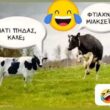 Αστεία εικόνα