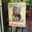 Αστεία εικόνα
