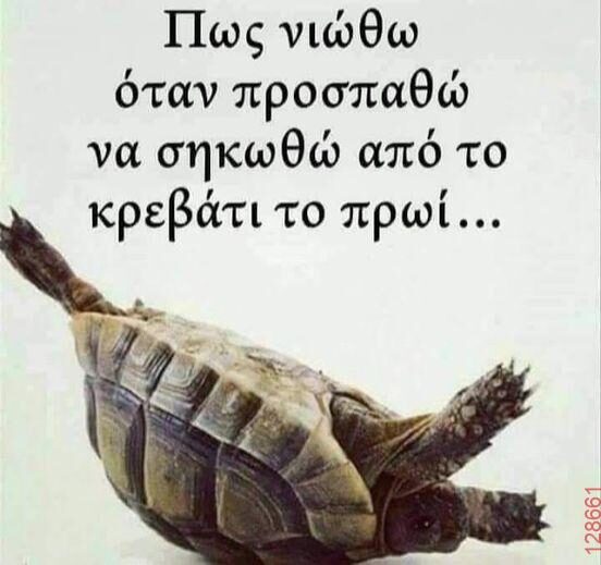 Αστεία εικόνα