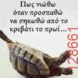 Αστεία εικόνα