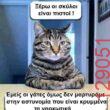Αστεία εικόνα