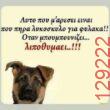 Αστεία εικόνα