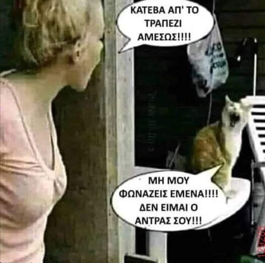 Αστεία εικόνα
