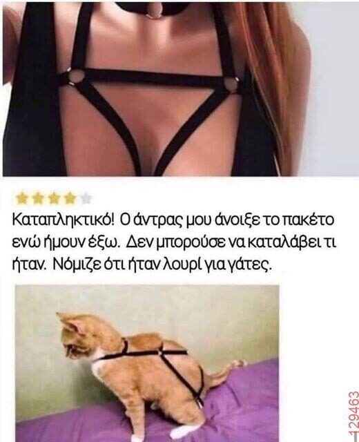 Αστεία εικόνα