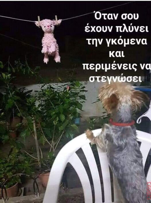 Αστεία εικόνα