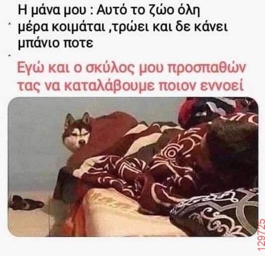 Αστεία εικόνα