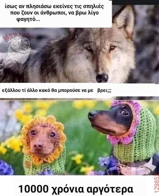 Αστεία εικόνα