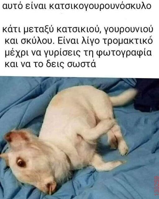 Αστεία εικόνα
