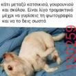Αστεία εικόνα