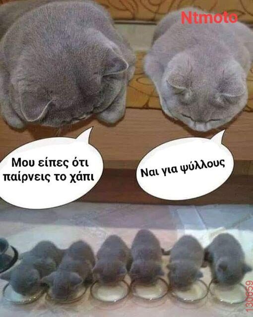 Αστεία εικόνα