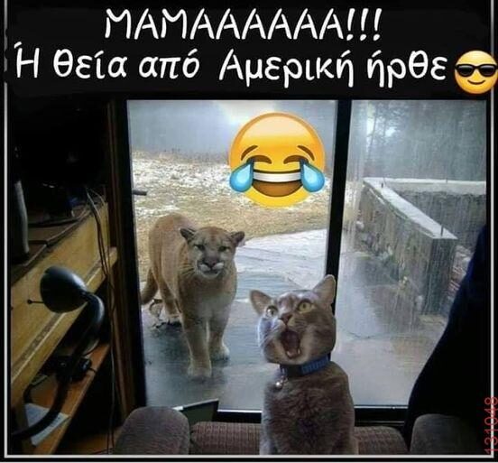 Αστεία εικόνα