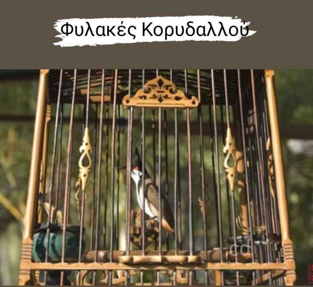 Αστεία εικόνα