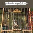 Αστεία εικόνα