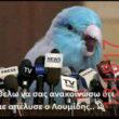 Αστεία εικόνα