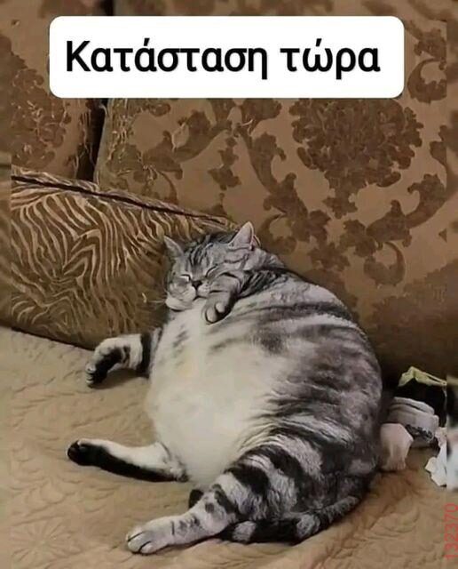 Αστεία εικόνα