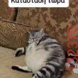 Αστεία εικόνα