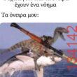 Αστεία εικόνα