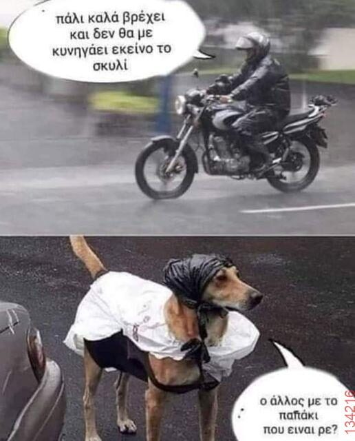 Αστεία εικόνα