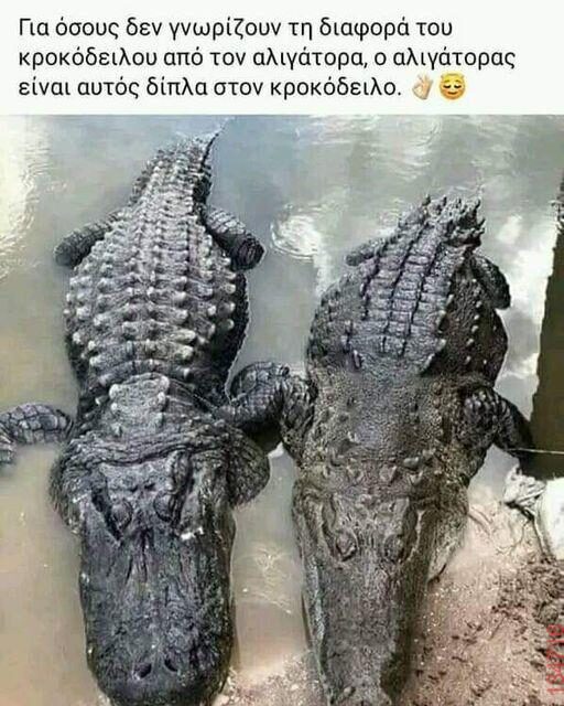 Αστεία εικόνα