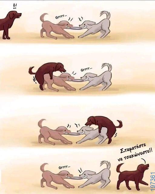 Αστεία εικόνα