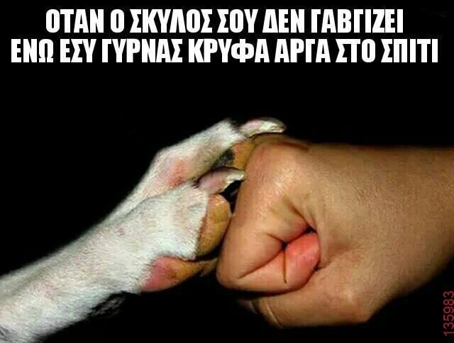 Αστεία εικόνα