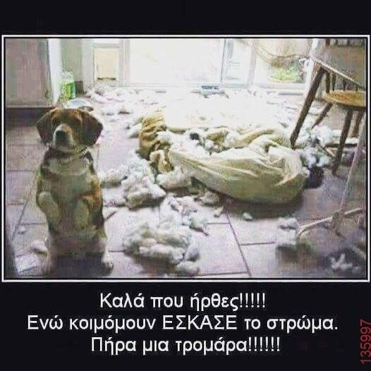 Αστεία εικόνα