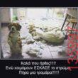 Αστεία εικόνα