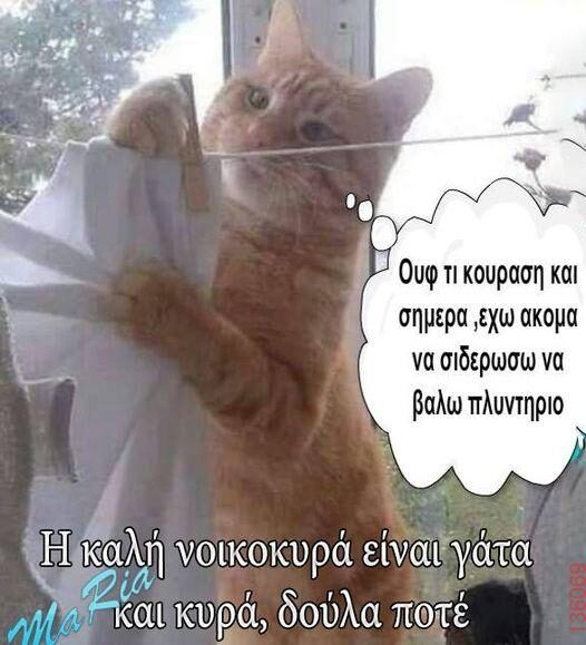 Αστεία εικόνα