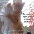 Αστεία εικόνα