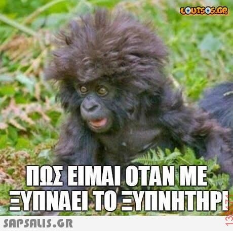 Αστεία εικόνα