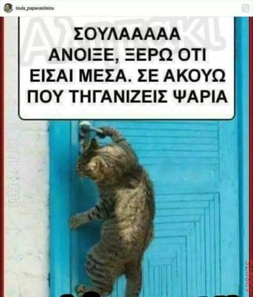 Αστεία εικόνα