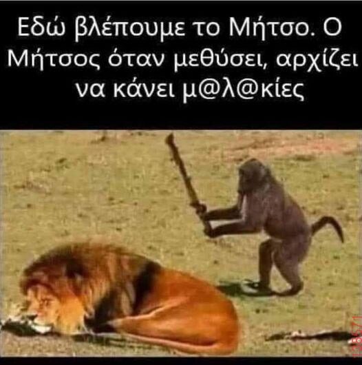 Αστεία εικόνα