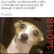 Αστεία εικόνα