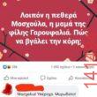 Αστεία εικόνα