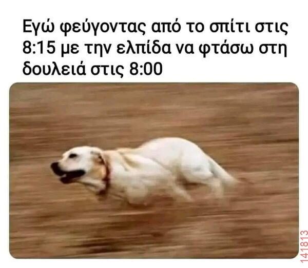 Αστεία εικόνα