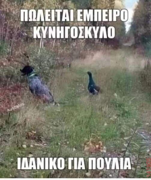 Αστεία εικόνα