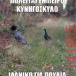 Αστεία εικόνα