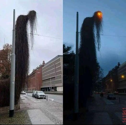 Αστεία εικόνα