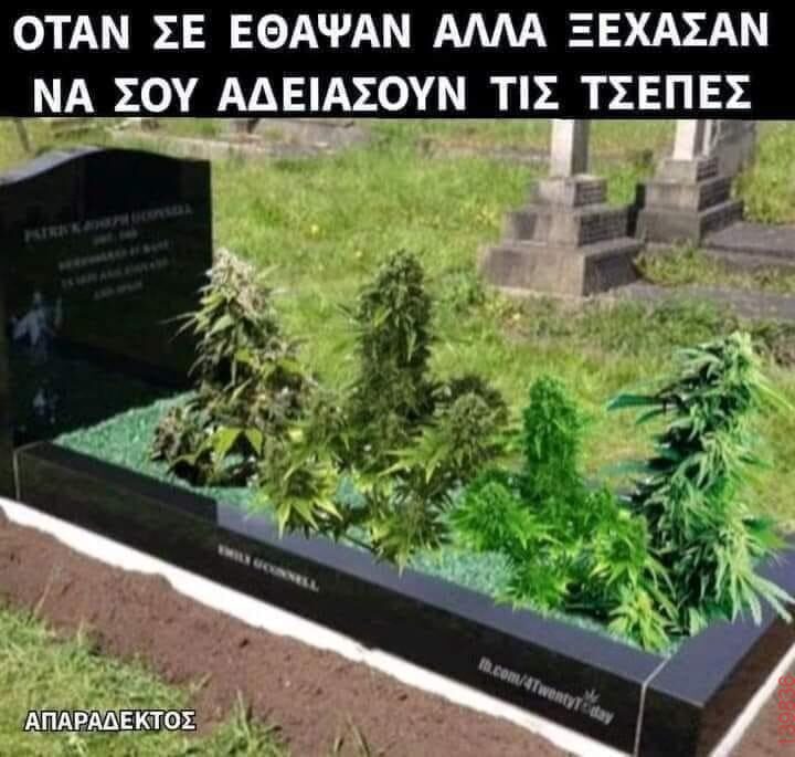 Αστεία εικόνα