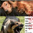 Αστεία εικόνα