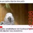 Αστεία εικόνα