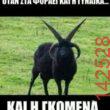 Αστεία εικόνα