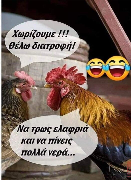 Αστεία εικόνα