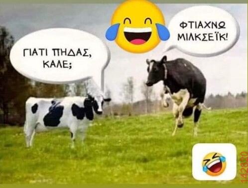 Αστεία εικόνα