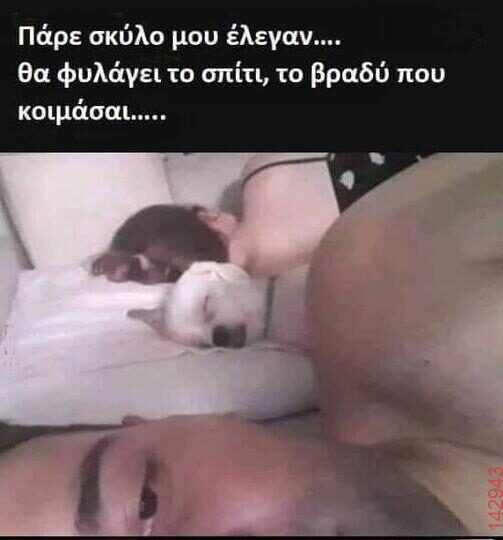 Αστεία εικόνα