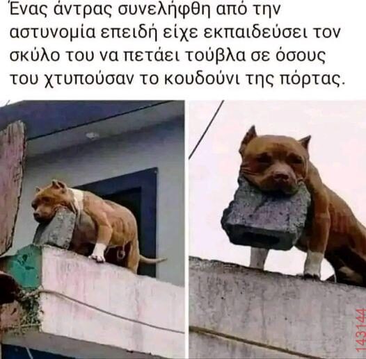 Αστεία εικόνα