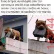 Αστεία εικόνα