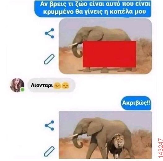 Αστεία εικόνα