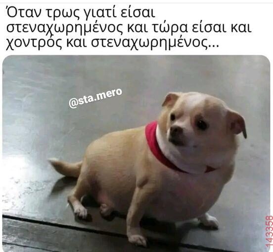 Αστεία εικόνα