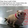 Αστεία εικόνα